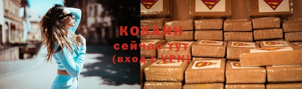 соль ск Кукмор