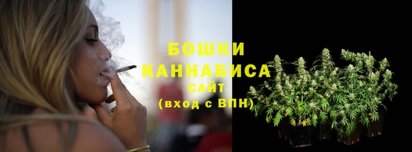 соль ск Кукмор