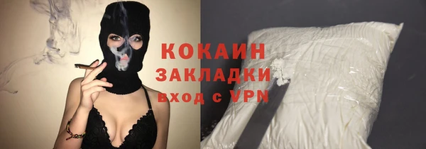 соль ск Кукмор