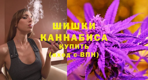 соль ск Кукмор