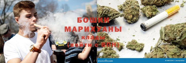 соль ск Кукмор