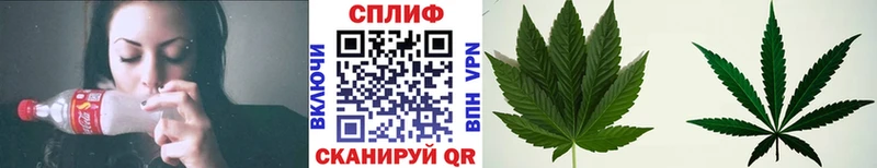Канабис OG Kush  что такое   Ельня 